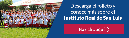 Descarga aquí >