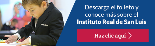 Descarga aquí >